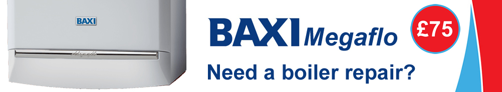 Baxi Megaflo Boiler Error Fault Code E125