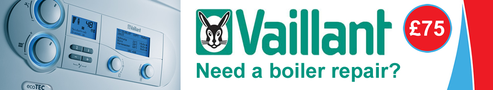 Vaillant ecoFIT sustain Boiler Repair