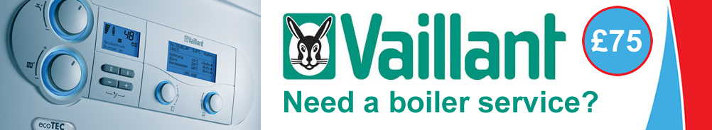 Vaillant ecoFIT pure Boiler Service